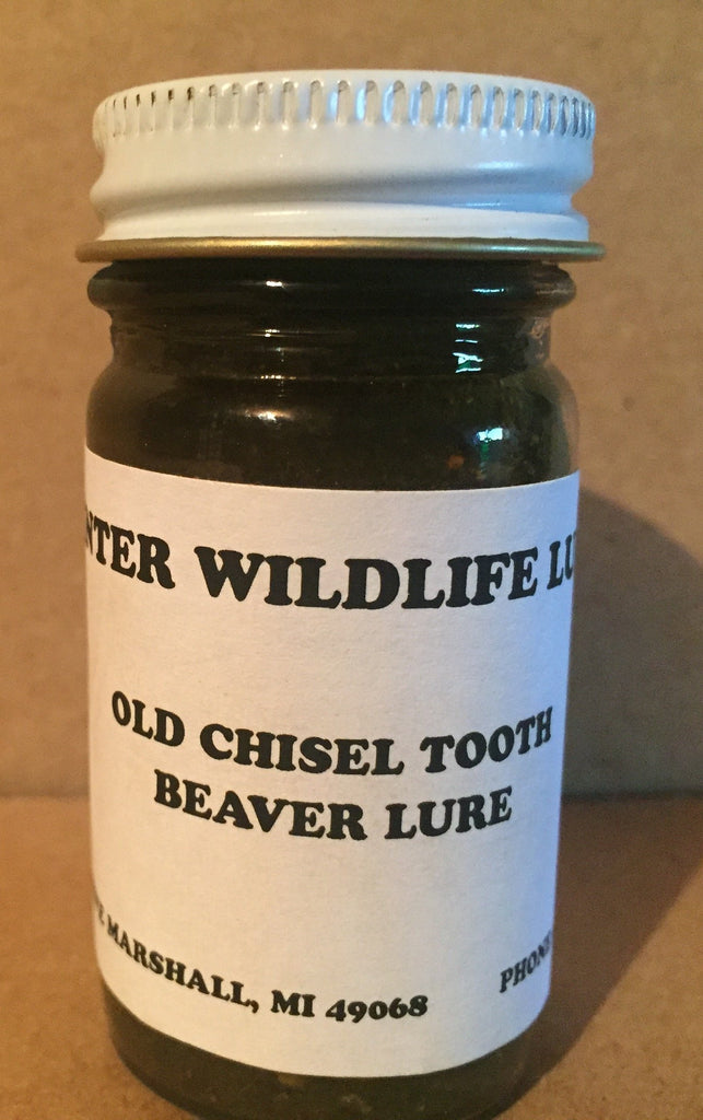 OLD CHISEL TOOTH - a beaver food lure